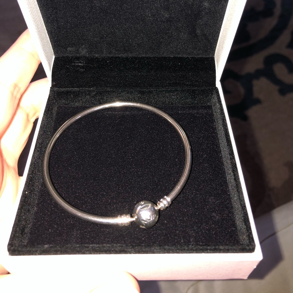 Pandora Charm Bracelet